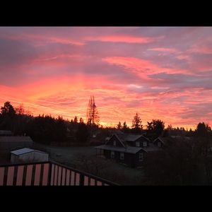 Meet your Posher, Ray